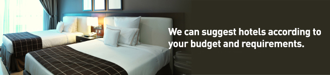 We can suggest hotels according to your budget and requirements.